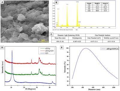 Fabrication of Graphene Oxide and Nanohydroxyapatite Reinforced Gelatin–Alginate Nanocomposite Scaffold for Bone Tissue Regeneration